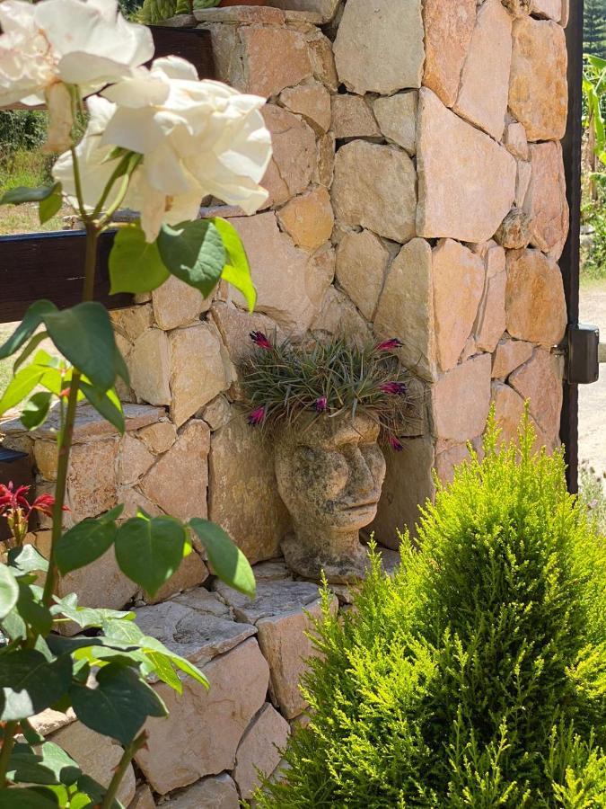 Rosa Dei Venti Accomodation Tropea Dış mekan fotoğraf